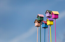  Group Of Colorful Wooden Birdhouses Against The Blue Sky In The Spring Garden To Attract Birds