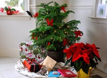 Decorated Mini Christmas Tree