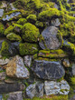 Old rock wall covered with moss and lichens 