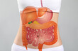 Woman with drawn digestive system on light background, closeup