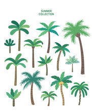 Summer Sets Collection. Vector Illustration Of Summer Symbols
