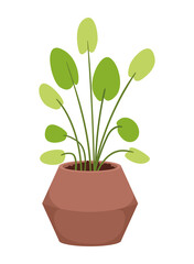 Wall Mural - plant in ceramic pot