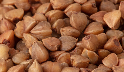 Wall Mural - Close-up of buckwheat groats as background.