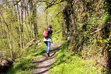 Wall Mural - Wandern im Dörsbachtal