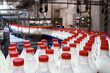 Row of bottles with pasteurized milk on conveyor belt