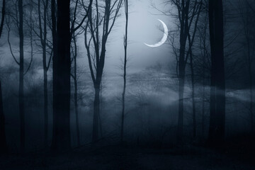 Wall Mural - dark scary forest at night in moon light