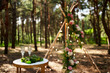 Bohemian tipi arch made of wooden rods decorated with pink roses, candles on carpet, pampass grass, wrapped in fairy lights on outdoor wedding ceremony venue in pine forest. Floristic compositions.