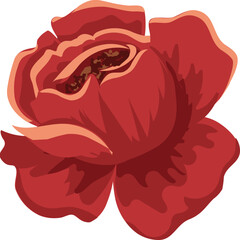 Wall Mural - Red rose