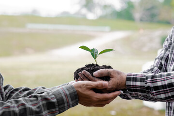 Two people carrying saplings to plant in a tropical forest, a tree planting campaign to reduce global warming. The concept of saving the world and reducing global warming.