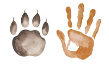 Watercolor Illustration Of Hand Painted Hand Print Of Men, Woman, Children And Tiger's, Bear's, Cat's, Dog's Paw, Foot Print With Claw. Isolated Clip Art Elements Of Human And Animal Friendship