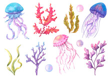 Set With Jellyfish, Seaweed, Carals And Bubbles. Sea Life Painted In Watercolor, Isolated On A White Background.