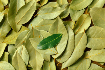 Wall Mural - Green bay leaf on a texture of dried laurel leaves, overhead flat lay shot, a culinary background