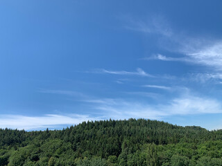 Scenery of woods under a blue sky