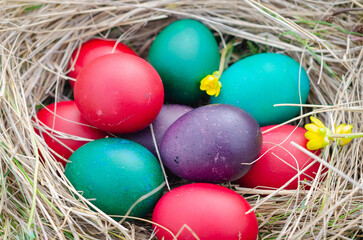 Wall Mural - Easter egg basket on green grass on sunny day. Stock image