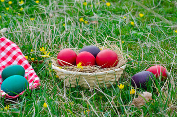 Wall Mural - Easter egg basket on green grass on sunny day. Stock image