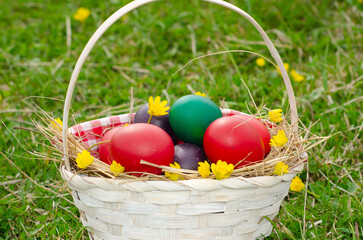 Wall Mural - Easter egg basket on green grass on sunny day. Stock image