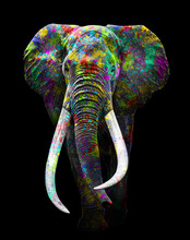 Vertical Shot Of An Elephant With Colorful Paints