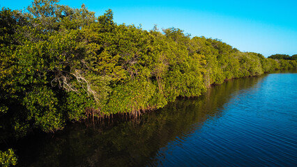 Beautiful view of a calm lake surrounded by green trees