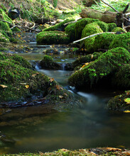 Vertical Shot Of A Stream Flowing Through Rocks Covered With Algae