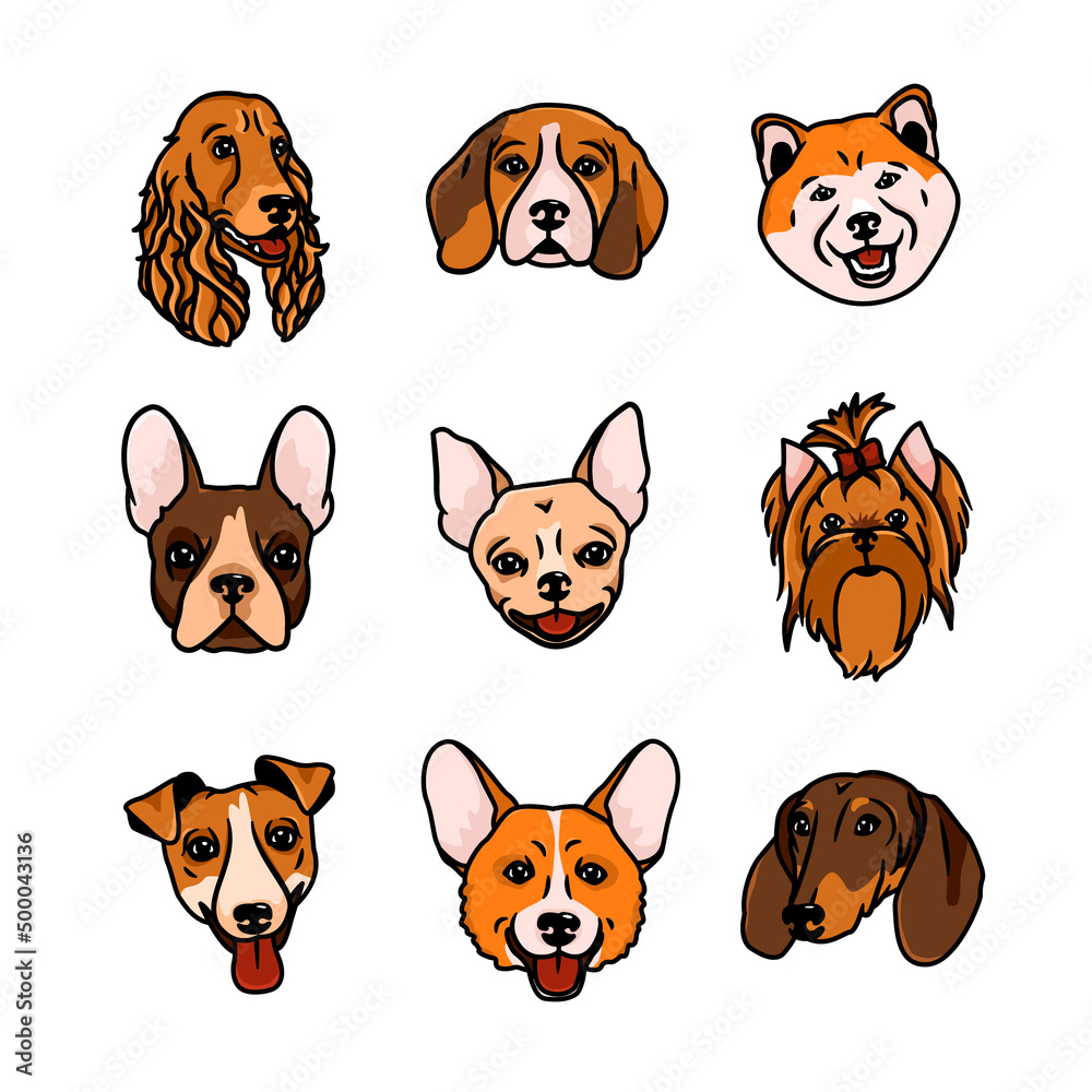 Vector image. Muzzles of dogs of different breeds Stock Vector | Adobe ...