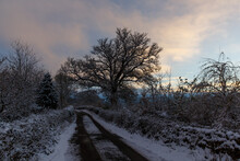 View Of The Rural Road Covered With Snow. Beamsley, North Of Yorkshire, England.