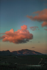 Wall Mural - vertical shot of an agricultural field with mountains and cloudy sunset sky in the background