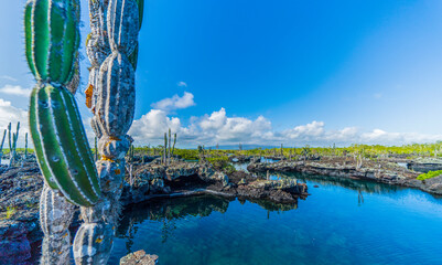 Wall Mural - The peculiar lava formations of the Galapagos Islands