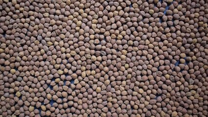 Wall Mural - Raw whole dry brown chickpeas