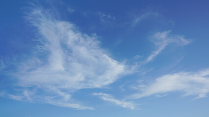 Wall Mural - wispy clouds and blue sky suitable for background use or sky substitution