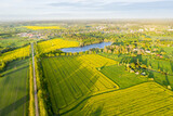 Fototapeta Na sufit - Panoramic Aerial View of Yellow Blooming Rapeseed Fields in Countryside