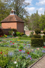 Colourful tulips amidst other spring flowers at Eastcote House Gardens, historic walled garden maintained by a community of volunteers in the London Borough of Hillingdon. 