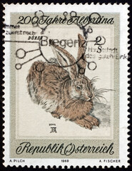 Wall Mural - Postage stamp Austria 1969 Young Hare, Durer