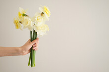 Beautiful Bouquet Of Fresh Yellow Flowers Of Daffodils In The Hand Of A Young Woman On A Gray Background, Space For Text.