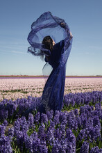 Woman In Blue Dress Dancing In Purple Flower Field Of Hyacinths In The Netherlands