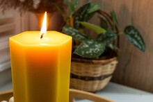 A Tall Hexagonal Shaped Beeswax Candle Is Displayed With A Plant.