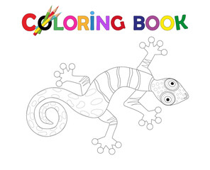  Malvorlage Eidechse, Salamander, Gekko, Geko, Chamäleon, 
Leguan, Echse, Feuersalamander, Reptil,
Vektor Illustration isoliert auf weißem Hintergrund
