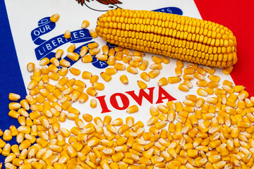 Wall Mural - Flag of Iowa covered in corn kernels. Farming, agriculture and ethanol concept