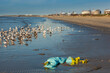 Plastic pollution on a beach in the gulf of mexico in texas, next to oil and petrochemical refineries, Texas, USA