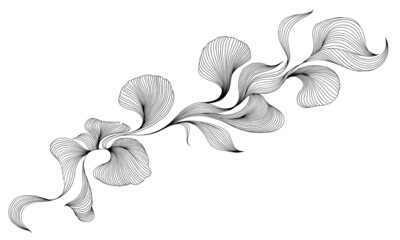 Elegant abstract background with dynamic linear waves. Vector hand drawn illustration in minimalistic linear style.