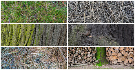 Wall Mural - Set of natural wooden textures. Nature objects close-up: trunks and tree bark, firewood and grass. Collection of panoramic backgrounds for design.