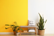 Comfortable Pouf With Pillows And Houseplants Near Color Wall