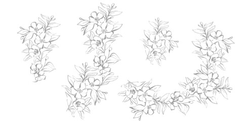 Wall Mural - Minimal set of handrawn floral lineart magnolia flower bouquets for wedding invitations and feminine logos