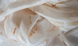Close up of silk clothes - fine silk texture - fashion background
