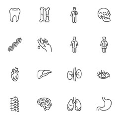 Wall Mural - Human health line icons set