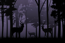 Cute Deer In Jungle Silhouette Graphic