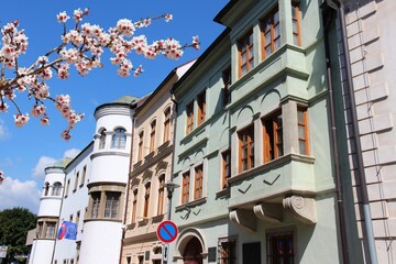 Wall Mural - Bratislava street view in Slovakia. Spring time cherry blossoms.