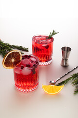 Canvas Print - cranberry christmas cocktail fresh drink