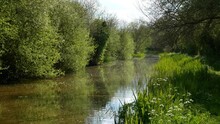 Idyllic Scene On The Oxford Canal With Spring Growth