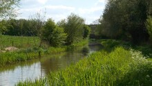 Idyllic Scene On The Oxford Canal With Green Rushes In Spring