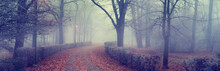 Walkway Through The Park On A Misty Autumn Day
